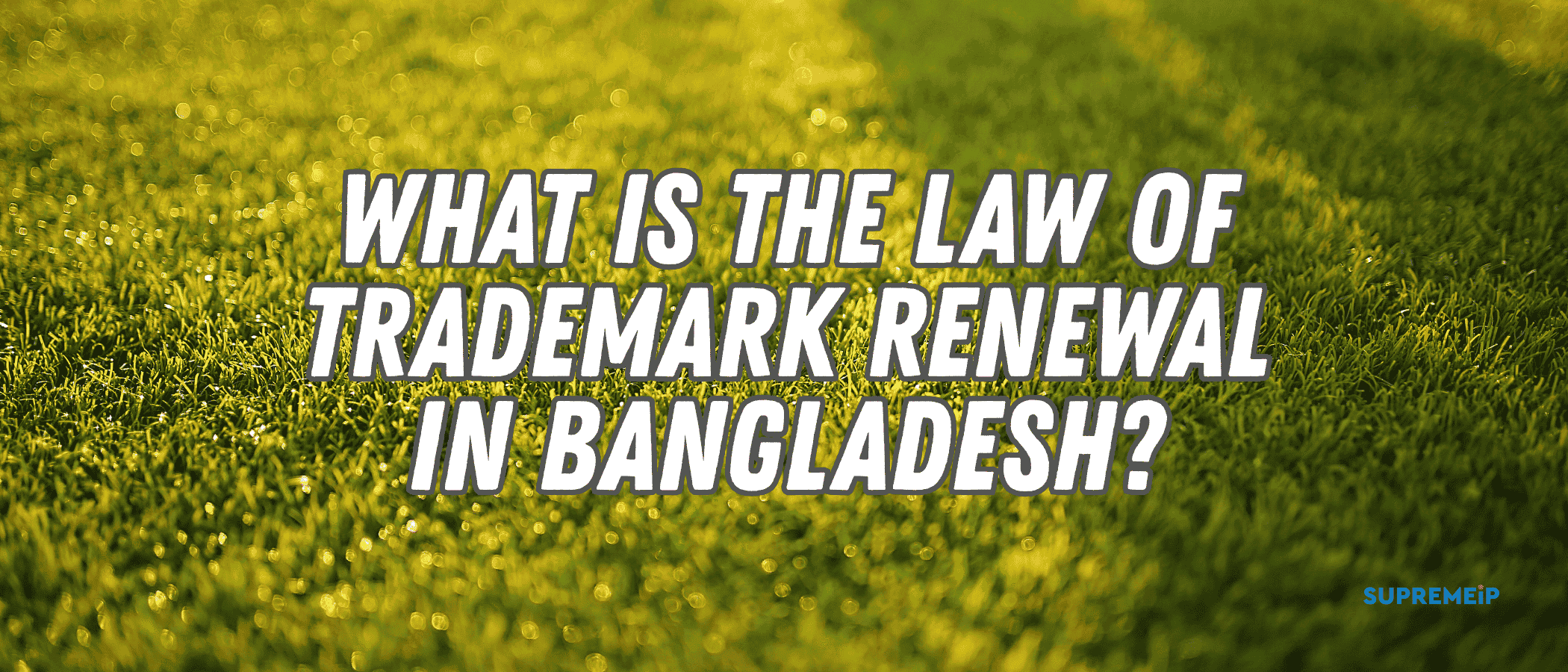 What is the Law of Trademark Renewal in Bangladesh?