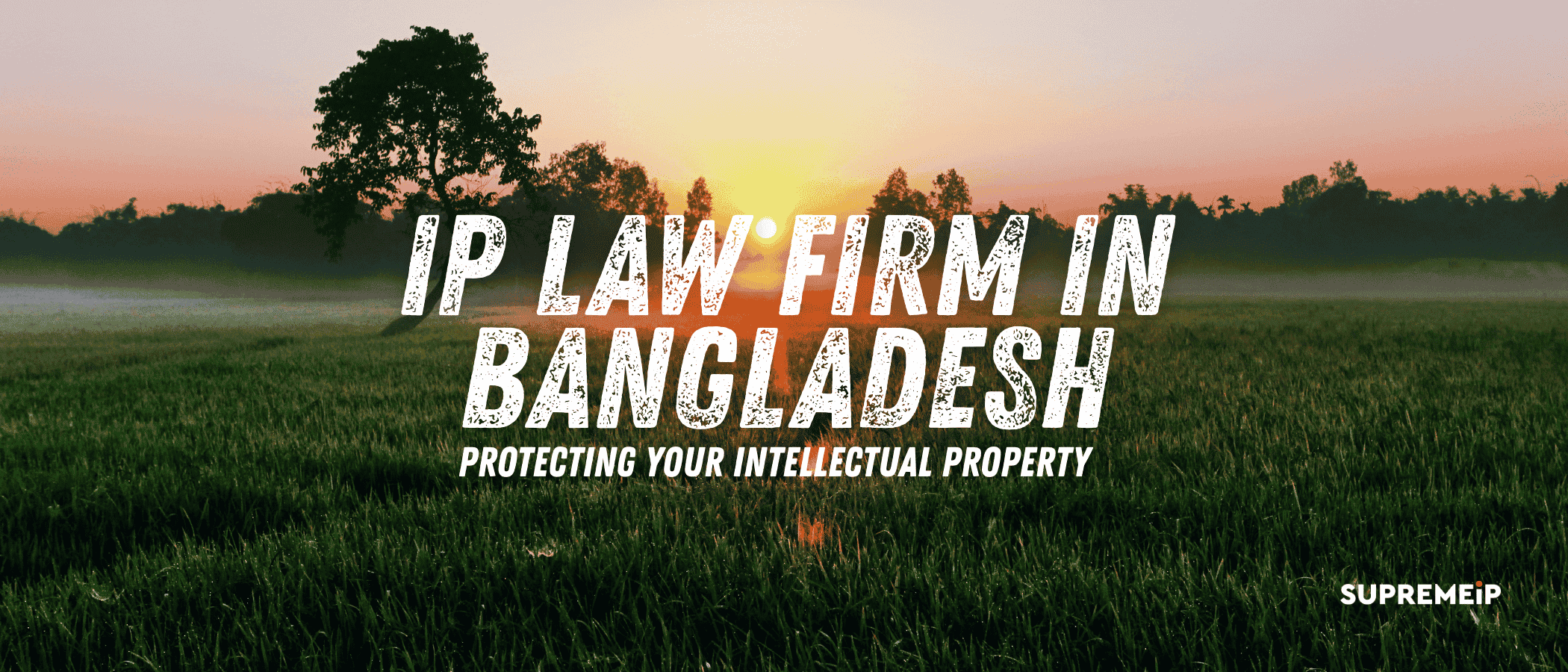 IP Law Firm in Bangladesh: Protecting Your Intellectual Property